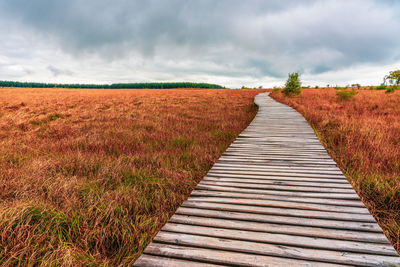 Narrow pathway along plants on field against sky