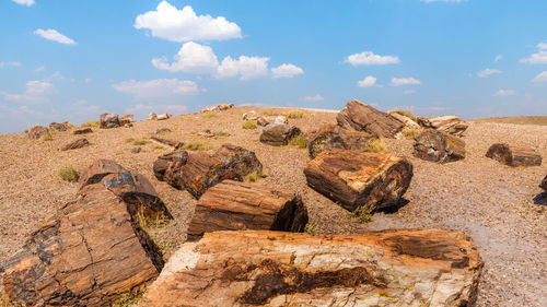 Rock formations on landscape against sky