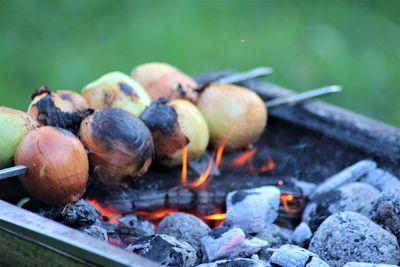 Close-up of crab on barbecue grill