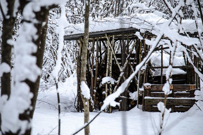 Frozen trees on snow covered field