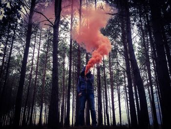 Person holding smoke bomb and standing on field against trees