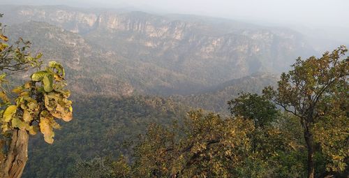 High angle view of trees and mountains