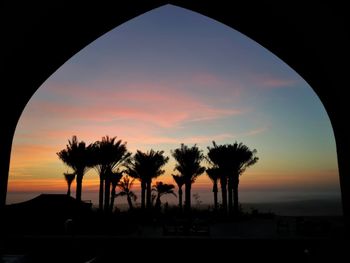 Silhouette of palm trees at sunset