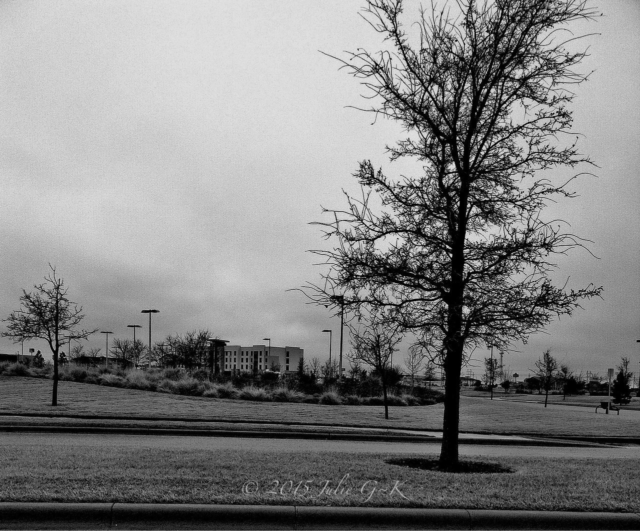 building exterior, architecture, tree, built structure, bare tree, sky, road, street, clear sky, transportation, city, day, outdoors, no people, branch, field, house, nature, street light, landscape