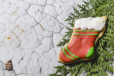 High angle view of cookie on plant and wall