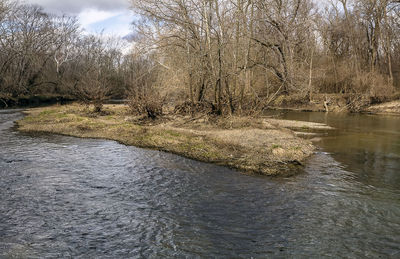 View of river flowing through forest