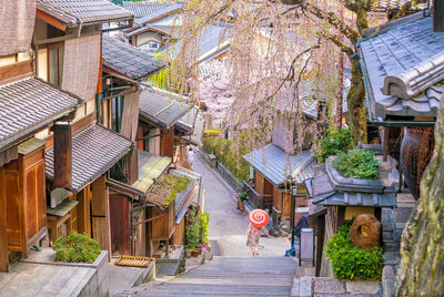 Houses amidst buildings in town