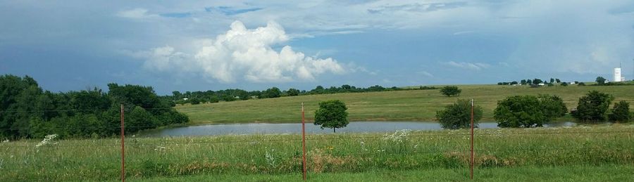 Scenic view of grassy field against sky