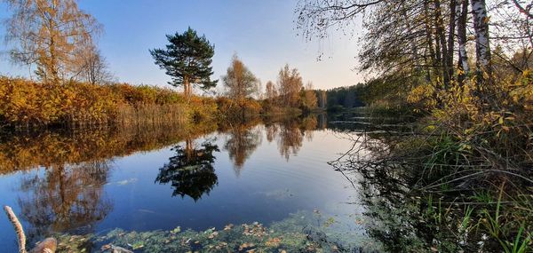 Scenic view of lake in forest against sky