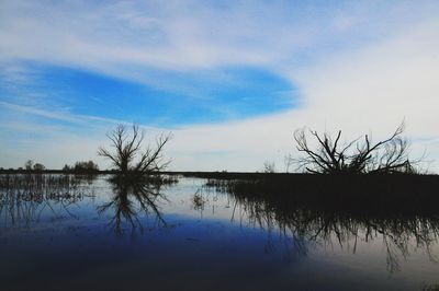 Reflection of tree in lake against sky