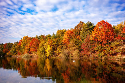 Trees by lake against sky during autumn