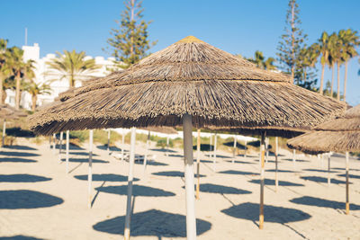 View of beach umbrellas on sand against clear sky