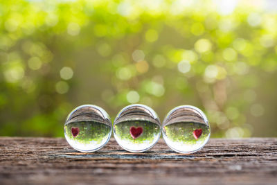 Close-up of glass on table