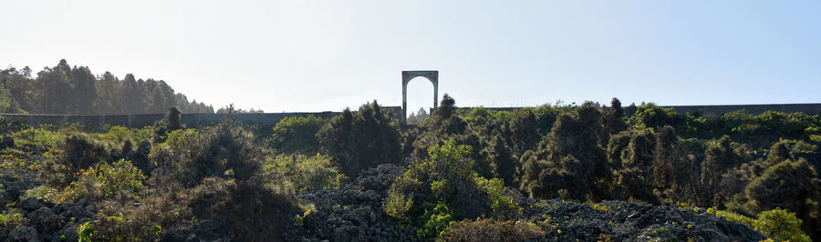 Panoramic shot of plants against clear sky