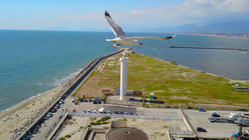 Seagull flying over sea against sky