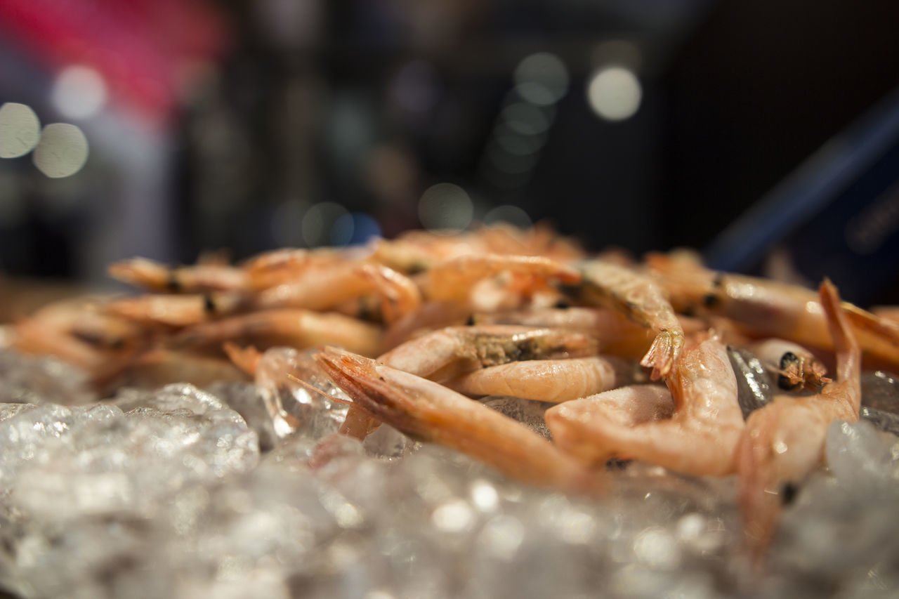 CLOSE-UP OF SEAFOOD AT MARKET