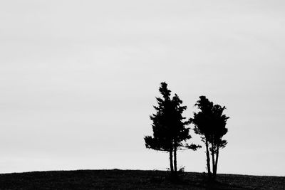Scenic view of trees against clear sky