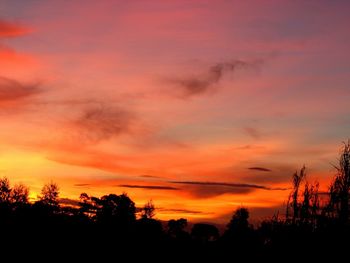 Silhouette trees against sky at sunset