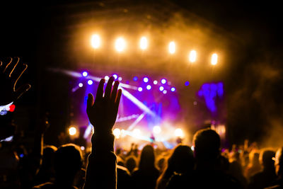 Crowd at music concert