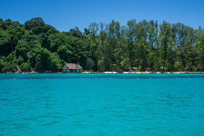 Scenic view of sea against clear blue sky