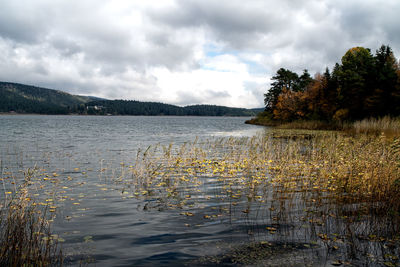 Scenic view of lake against sky