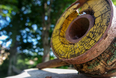 Close-up of rusty metal on wood