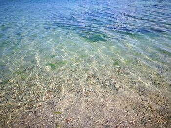 High angle view of sea shore