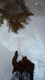 Reflection of trees in puddle