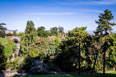 Trees and plants against sky in park