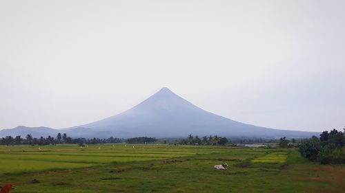 Scenic view of green landscape and mountain against sky