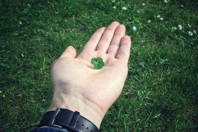 High angle view of man hand on grass