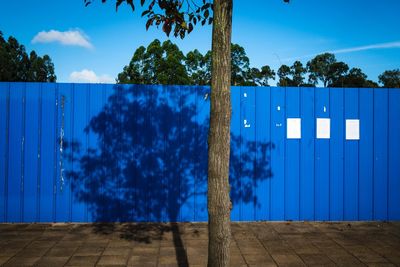 Panoramic view of trees against blue sky