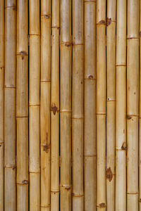 Full frame shot of bamboos