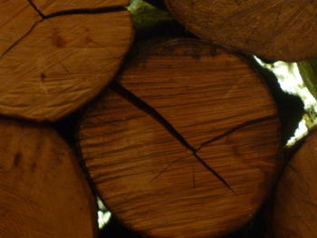 Close-up of wooden door