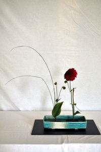 Close-up of red flower vase on table