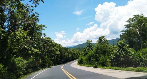 Road by trees against sky