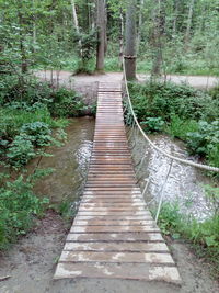 Footbridge amidst trees in forest