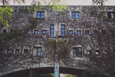 Low angle view of building