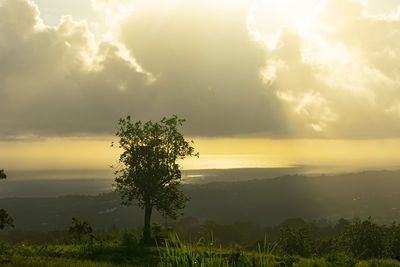 Scenic view of field against sky at sunset