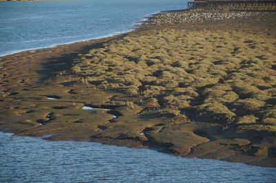 High angle view of beach