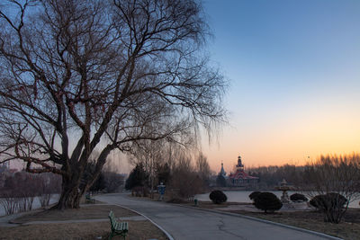 Road by bare trees against sky during winter