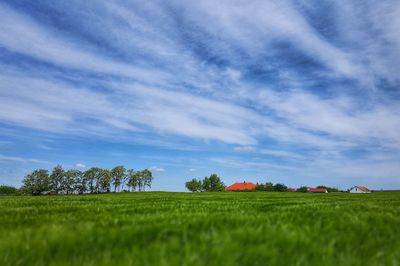 Scenic view of field against sky