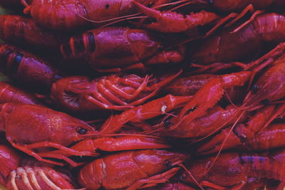 Full frame shot of boiled crayfish