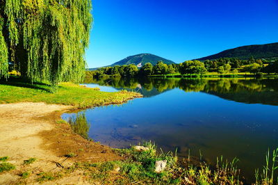 Scenic view of lake in forest against clear blue sky