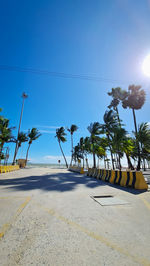 Palm trees on road against blue sky