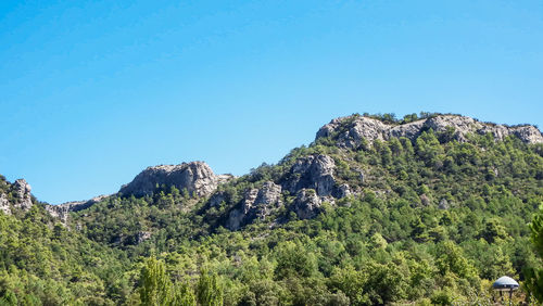 Scenic view of trees against clear blue sky