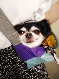 Portrait of man with dog