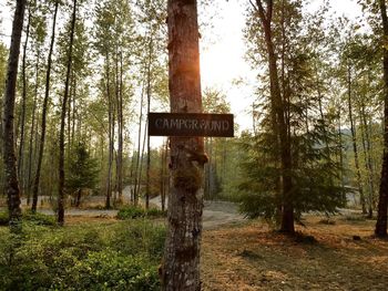 Information sign on tree trunk in forest