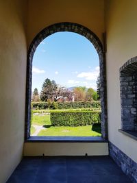 Plants seen through window of building