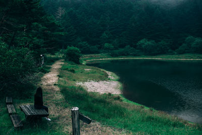Scenic view of lake in forest
